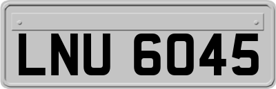 LNU6045