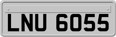 LNU6055