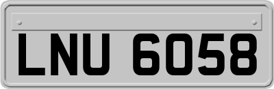 LNU6058