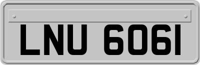LNU6061