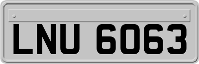 LNU6063
