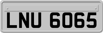 LNU6065
