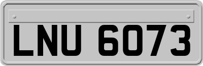 LNU6073