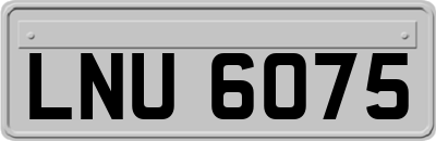 LNU6075
