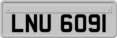 LNU6091