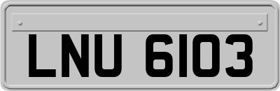 LNU6103