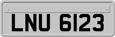 LNU6123
