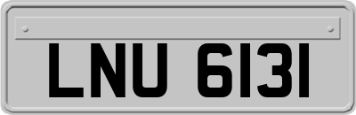 LNU6131
