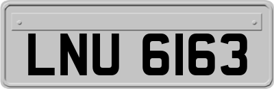 LNU6163