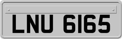 LNU6165