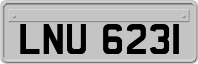 LNU6231