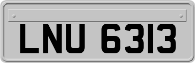 LNU6313
