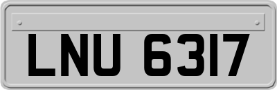 LNU6317