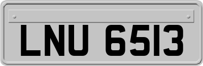 LNU6513