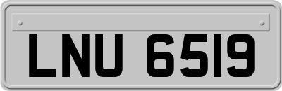 LNU6519