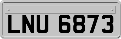 LNU6873