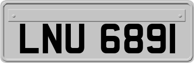 LNU6891