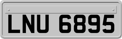 LNU6895