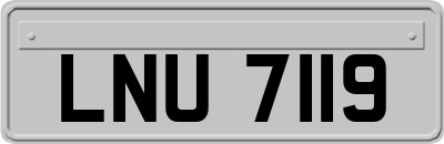 LNU7119