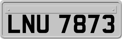 LNU7873