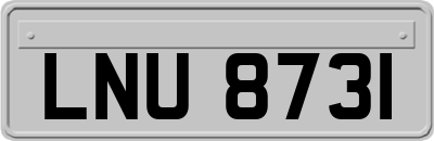 LNU8731