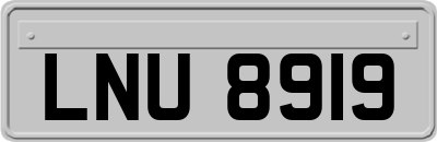 LNU8919