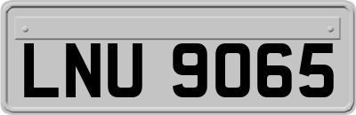 LNU9065