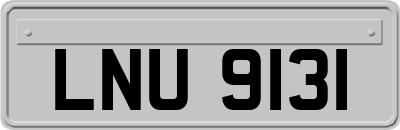 LNU9131