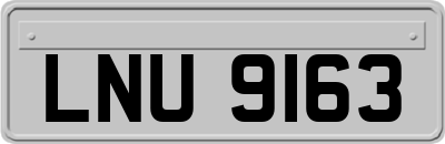 LNU9163