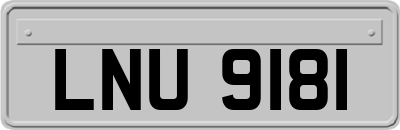 LNU9181