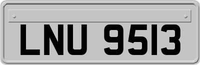 LNU9513