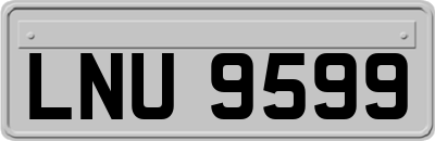 LNU9599