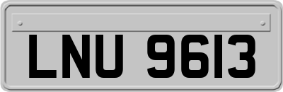 LNU9613
