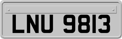 LNU9813