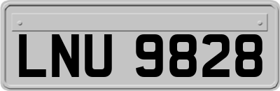 LNU9828