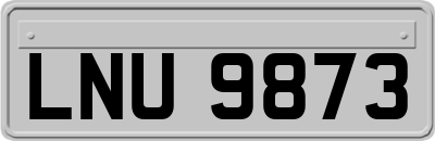 LNU9873