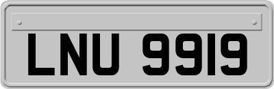 LNU9919