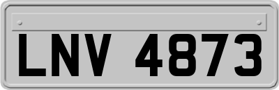 LNV4873