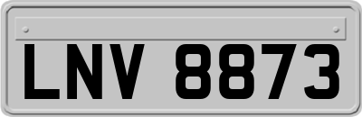 LNV8873