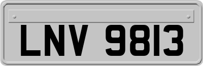 LNV9813