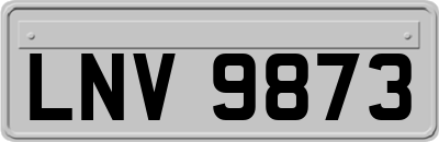LNV9873