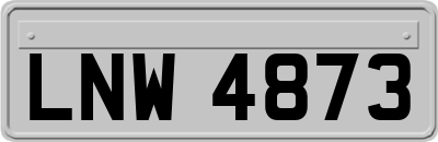LNW4873