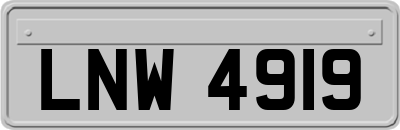 LNW4919