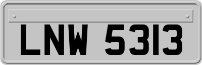 LNW5313