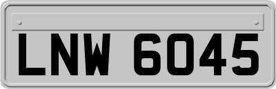 LNW6045