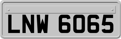 LNW6065