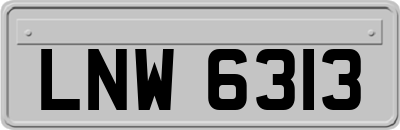 LNW6313