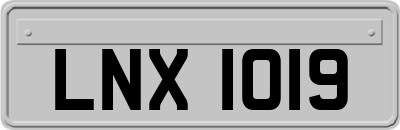 LNX1019