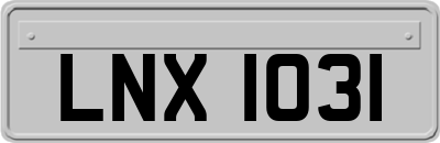 LNX1031