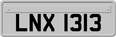 LNX1313